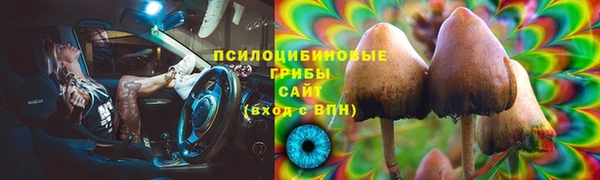 ПСИЛОЦИБИНОВЫЕ ГРИБЫ Покачи