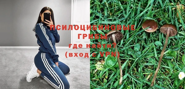 ПСИЛОЦИБИНОВЫЕ ГРИБЫ Покачи