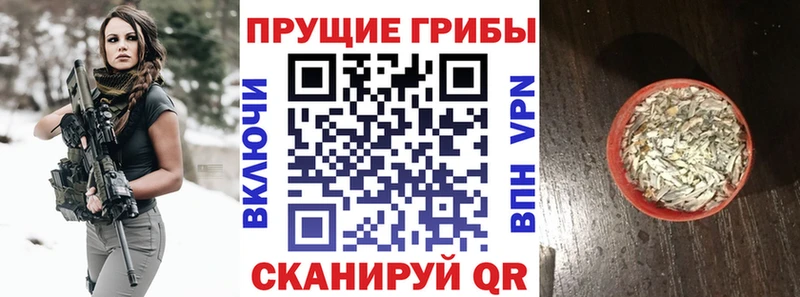 Галлюциногенные грибы прущие грибы  наркошоп  Петухово 